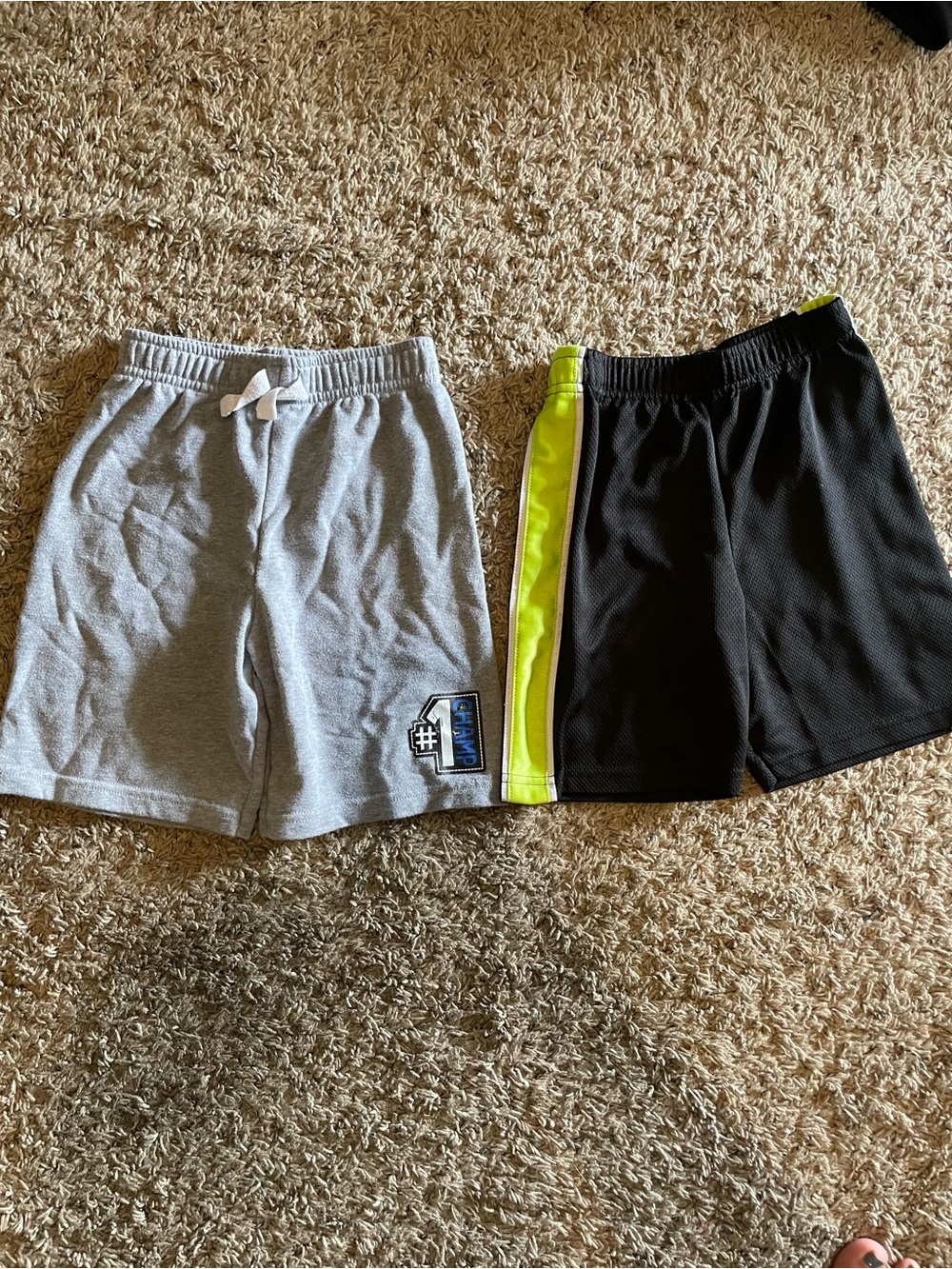 Garanimals Set of 2 Boys Shorts Size 5T